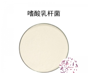 嗜酸乳杆菌